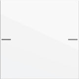 Gira wippenset Tastsensor 4 System 55