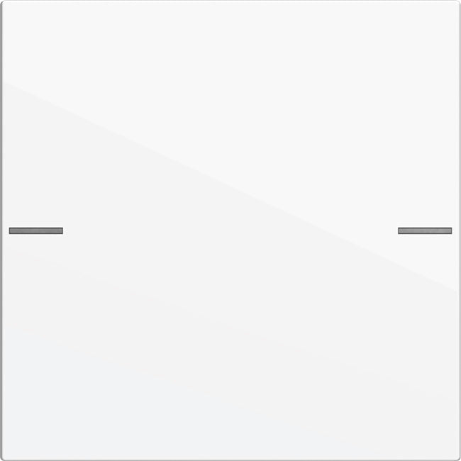 Gira wippenset Tastsensor 4 System 55