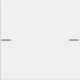 Gira wippenset Tastsensor 4 System 55