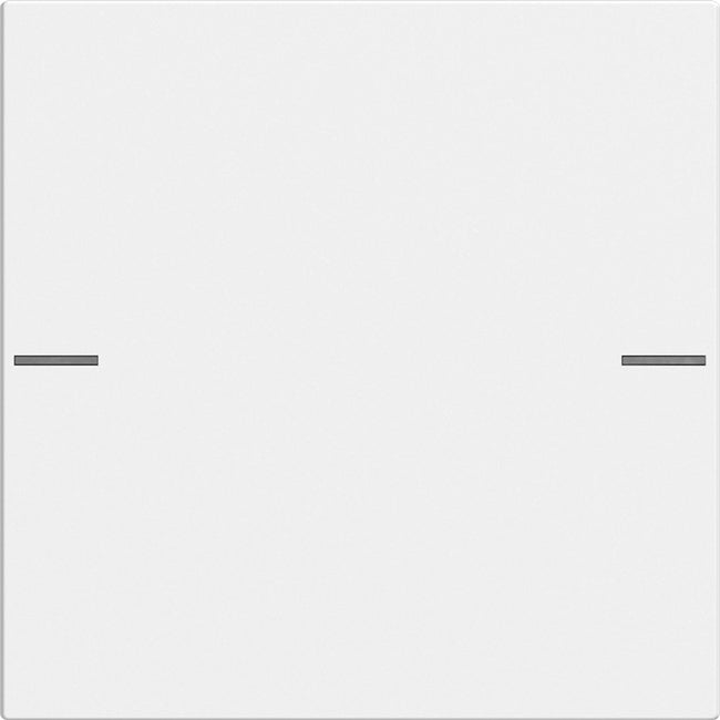 Gira wippenset Tastsensor 4 System 55